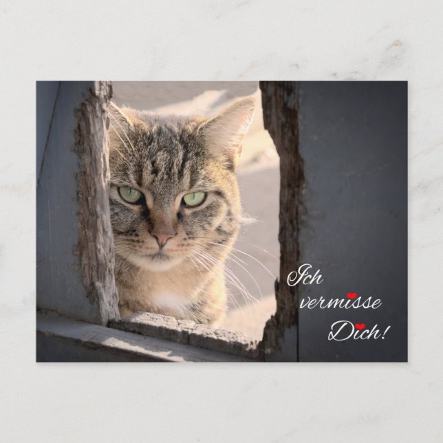 Ich vermisse Dich! Vykort (Framsida)