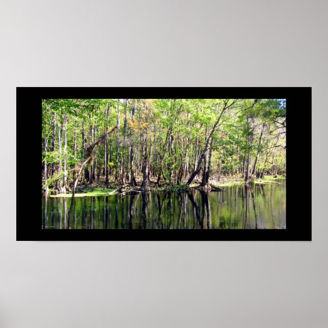 Ichetucknefloden Poster (Framsidan)