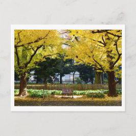 Icho Namiki (Ginkgo Avenue): Tokyo, Japan Vykort
