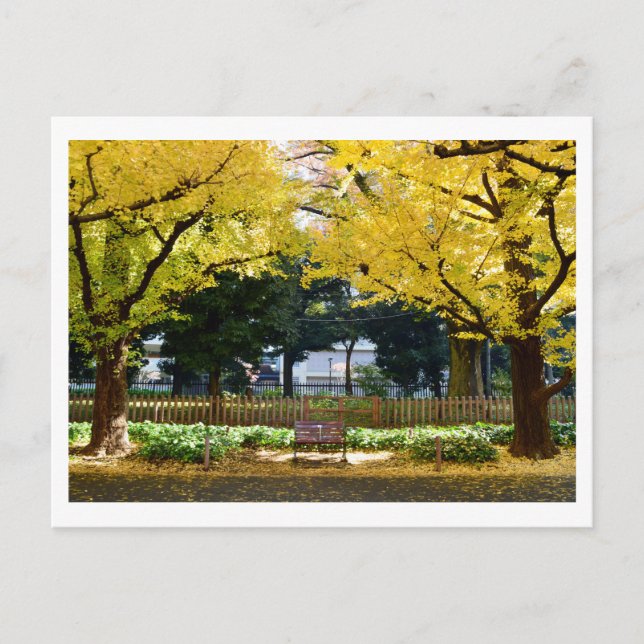 Icho Namiki (Ginkgo Avenue): Tokyo, Japan Vykort (Framsida)