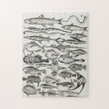 Ichthyologyiktyologi, fisk, hav, iktylolog