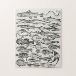 Ichthyologyiktyologi, fisk, hav, iktylolog pussel