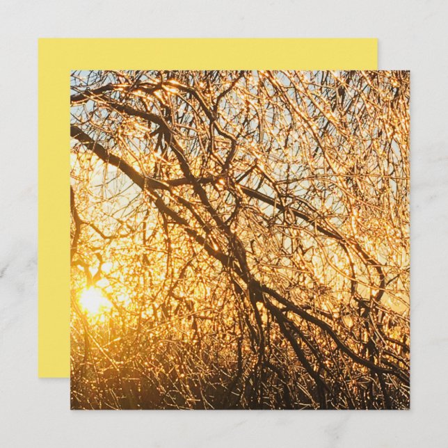 icicle grenar vid solnedgång inbjudningar (Fram/baksida)