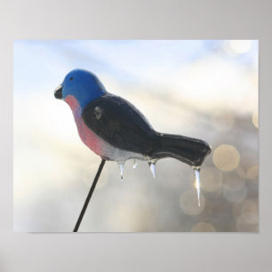 Icicles on Bird Gräsmatta Ornament Winter Poster
