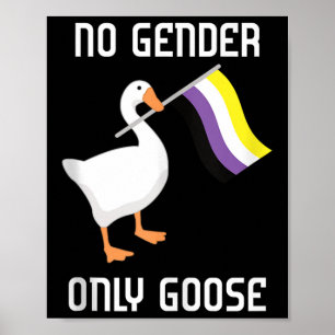 Icke-binär gås Inget kön Pride Flagga Lgbtq Gay Pr Poster