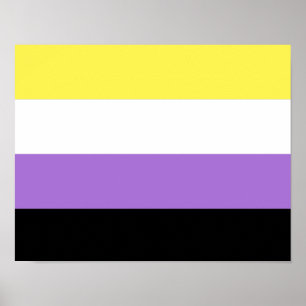 Icke-binär stolthetsflagga poster