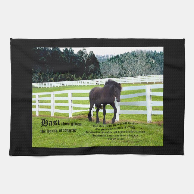 Icke-esuch vid Cedar Point w Job 39 Kökshandduk (Horisontell)