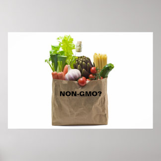 ICKE-GMO? POSTER