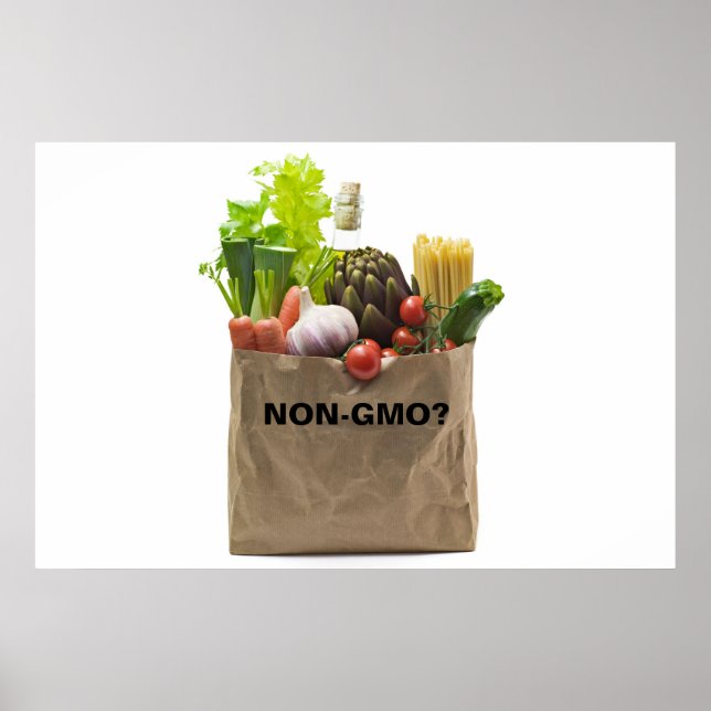 ICKE-GMO? POSTER (Framsidan)