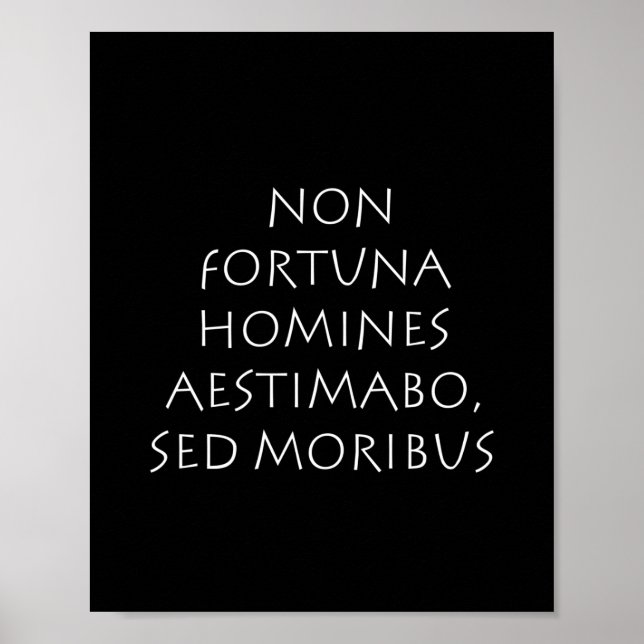 Icke lyckliga heminas aestimabo sed moribus poster (Framsidan)