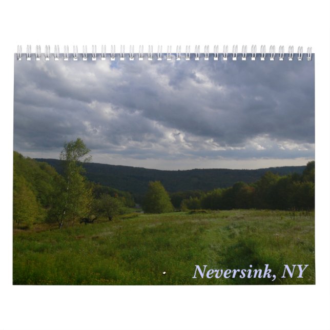 Icke-sink, NY Kalender (Omslag)