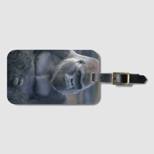 Iconic Silverback Oumbi Bagagebricka