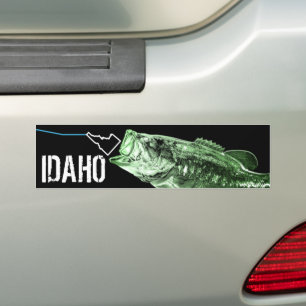 ID LARGEMOUTH BASS - HERE FISHY FISHY STKG IDAHO BILDEKAL