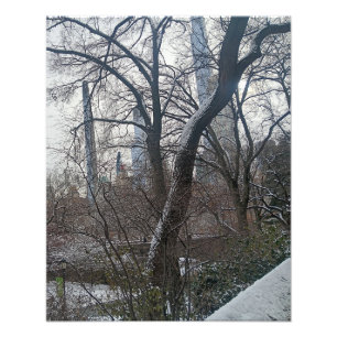 Idag i New York City Central Park Fototryck