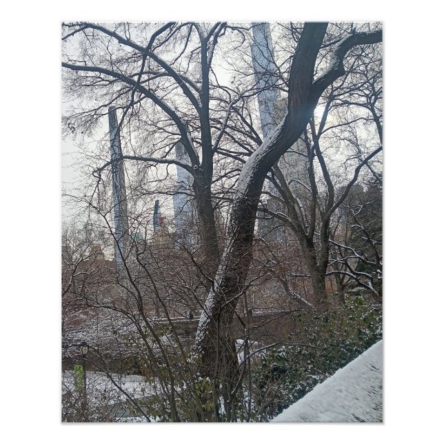 Idag i New York City Central Park Fototryck (Framsidan)