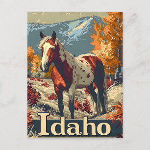 Idaho Appaloosa-häst Vykort