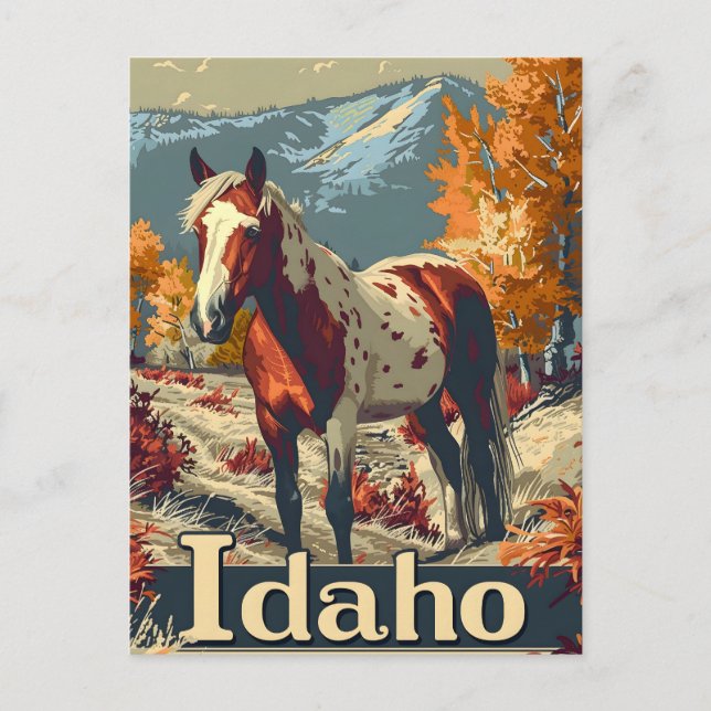 Idaho Appaloosa-häst Vykort (Framsida)