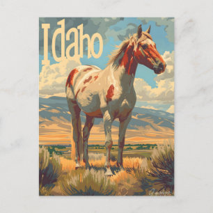 Idaho Appaloosa Horse Vykort