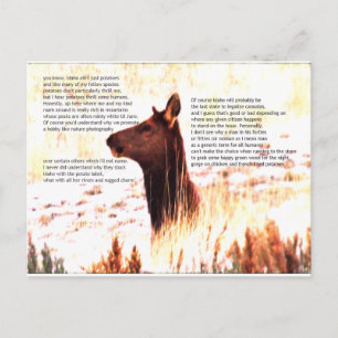 idaho är inte bara potatis vykort