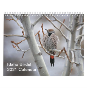 Idaho Birds! Kalender 2021