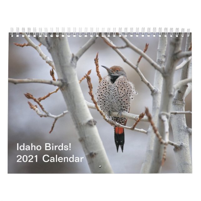 Idaho Birds! Kalender 2021 (Omslag)