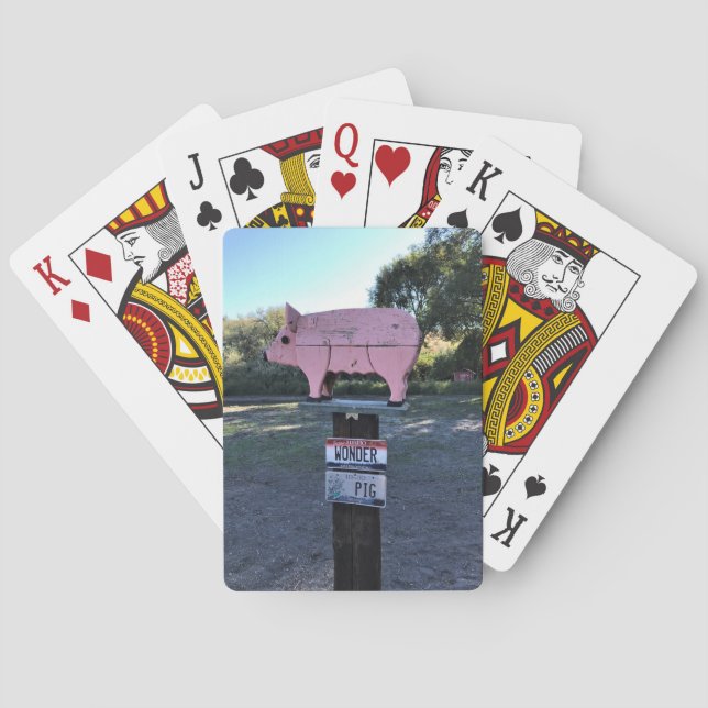 Idaho  Gris, Funny Casinokort (Baksidan)