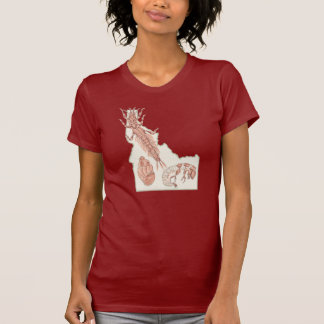 Idaho Insektrare  T Shirt