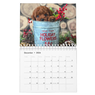 Idaho Jewels Poodles | 2026 Kalender