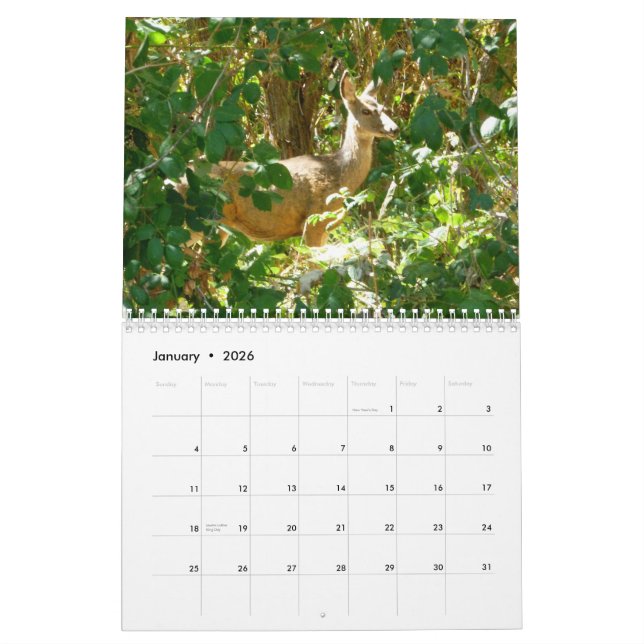 Idaho Kalender (Jan 2026)