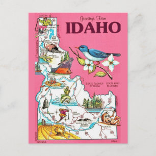 Idaho Kartan Vintage Rosa Postkort Vykort