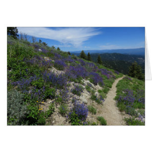 Idaho Mountain Hiking Trail Hälsningskort