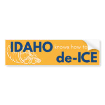Idaho politisk bildäckslapp