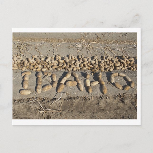 Idaho Potatis Vykort (Framsida)