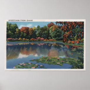Idaho sjöplats med liljan PadsIdaho Poster