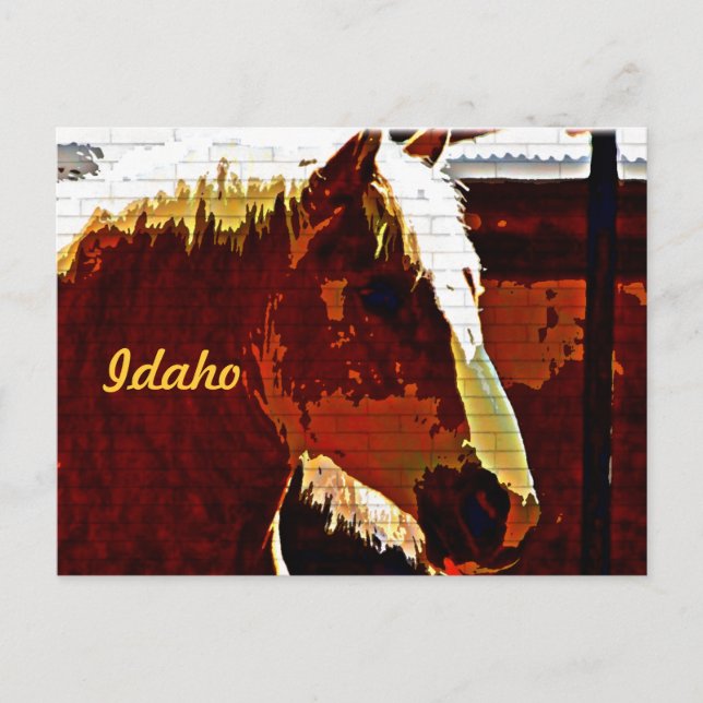 Idaho, Sorrelhäst i profil vykort (Framsida)