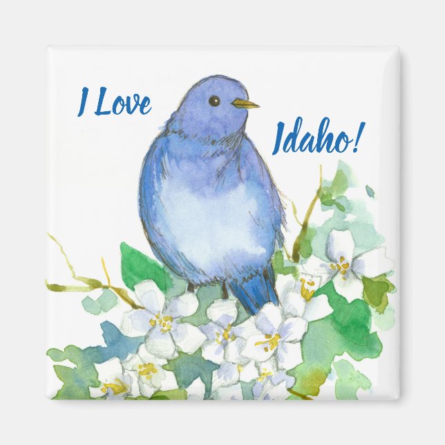 Idaho Souvenir Mountain Bluebird Syringa Magnet (Framsidan)