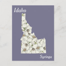 Idaho State Flower Collage Karta Vykort