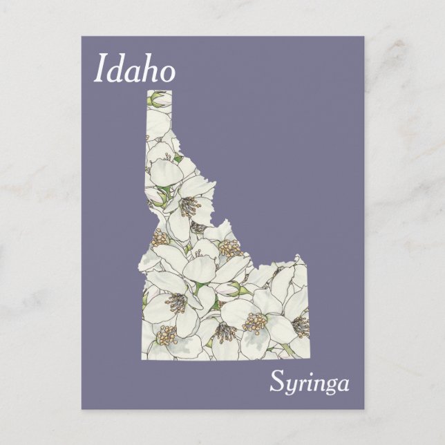 Idaho State Flower Collage Karta Vykort (Framsida)