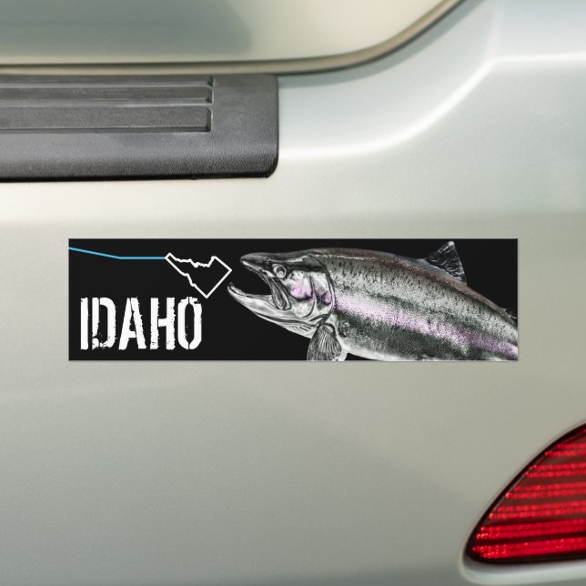 IDAHO STEELHEAD - HERE FISHY FISHY - STRIKING IDAH BILDEKAL (På Bil)