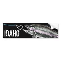 IDAHO STEELHEAD - HERE FISHY FISHY - STRIKING IDAH