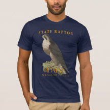 Idaho Territory Rovfågel Falco peregrinus