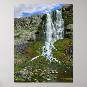 Idaho Tusentals Vår-fläktar Skriv ut Poster