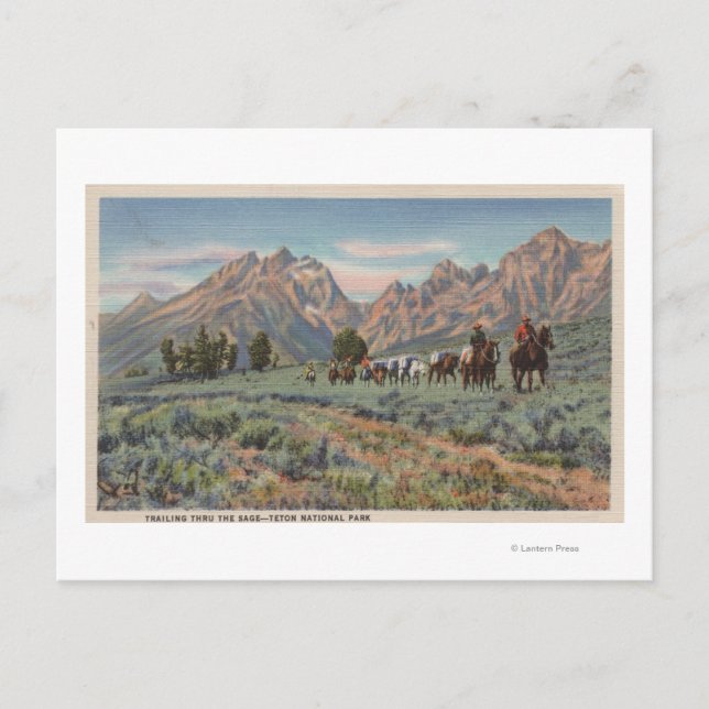 Idaho - View of Manar on Horseback on Teton Mts. Vykort (Framsida)