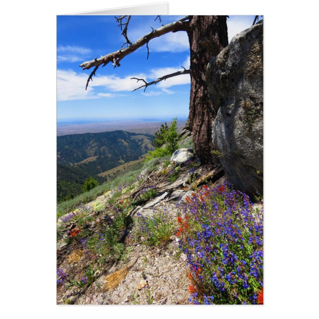 Idaho Vild Flowers Hälsningskort (Framsidan)