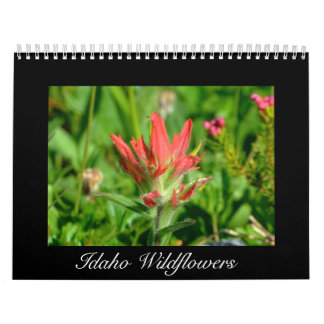 Idaho vildblommakalender kalender