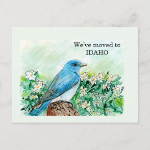Idaho Vykort