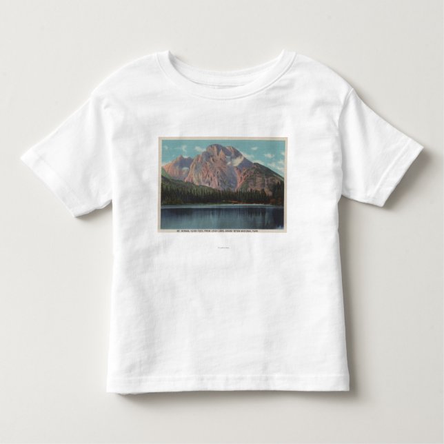 IdahoView av Mt. Moran från Leigh LakeIdaho T-shirt (Framsida)