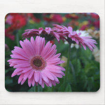 Idé för gåva för mousepad för rosa Gerber daisy