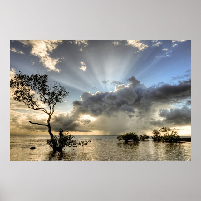 Idébildande och lugnande Poster (Framsidan)