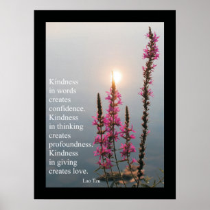 Idécitat och Ord Lao Tzu Poster